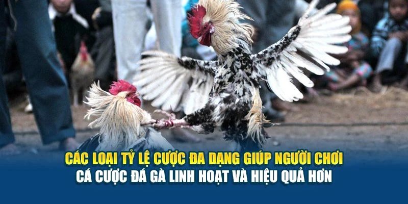 Tỷ Lệ Cược Đá Gà - Cách Đọc Kèo Và Tính Thắng Thua 5 Các loại tỷ lệ cược đa dạng giúp người chơi cá cược đá gà linh hoạt và hiệu quả hơn